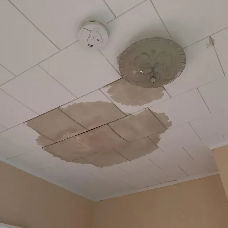 Ceiling Water Damage Repair in Osage County, KS