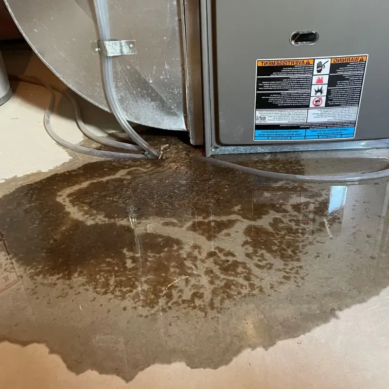 Pipe Burst and Leak Restoration in Osage County, KS