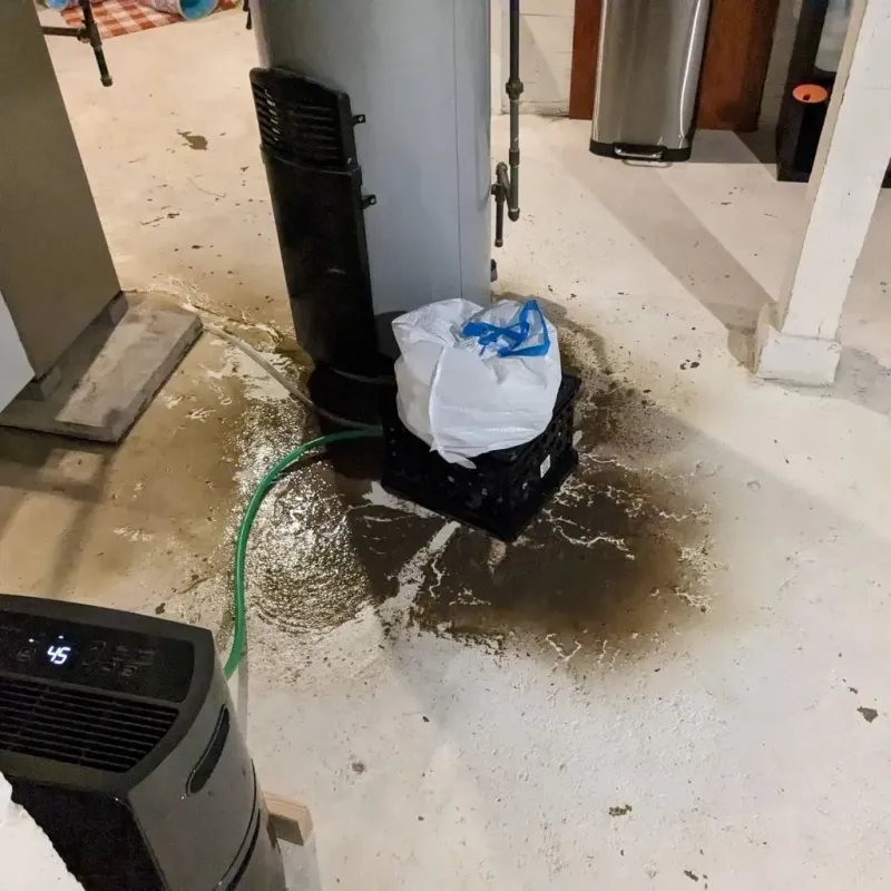 Sewage Backup Cleanup Service in Osage County, KS